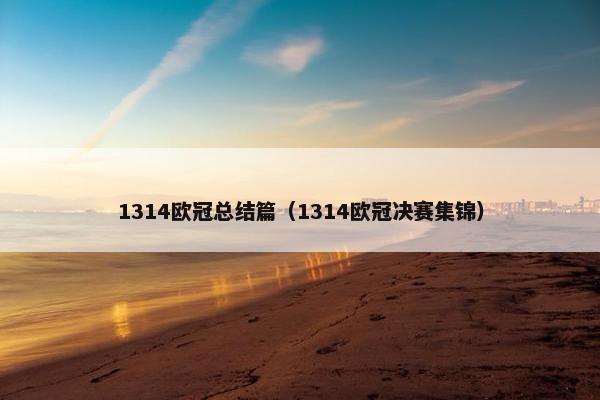 1314欧冠总结篇（1314欧冠决赛集锦）