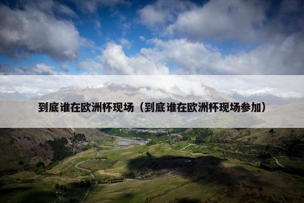 到底谁在欧洲杯现场（到底谁在欧洲杯现场参加）