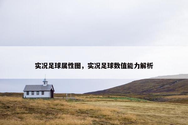 实况足球属性图，实况足球数值能力解析
