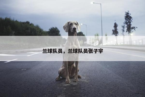兰球队员，兰球队员张子宇