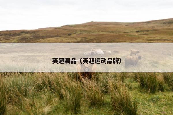 英超潮品（英超运动品牌）