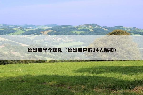 詹姆斯半个球队（詹姆斯已被14人隔扣）