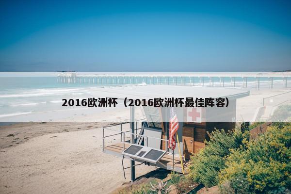 2016欧洲杯（2016欧洲杯最佳阵容）