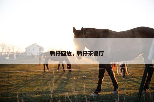 鸭仔回放，鸭仔茶餐厅