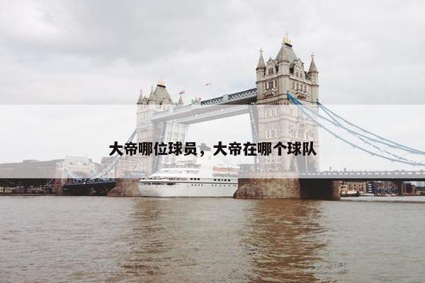 大帝哪位球员，大帝在哪个球队