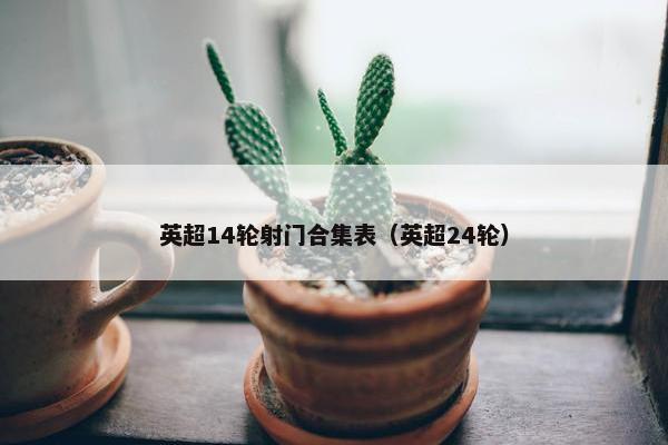 英超14轮射门合集表（英超24轮）