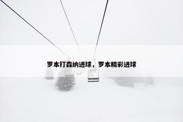 罗本打森纳进球，罗本精彩进球